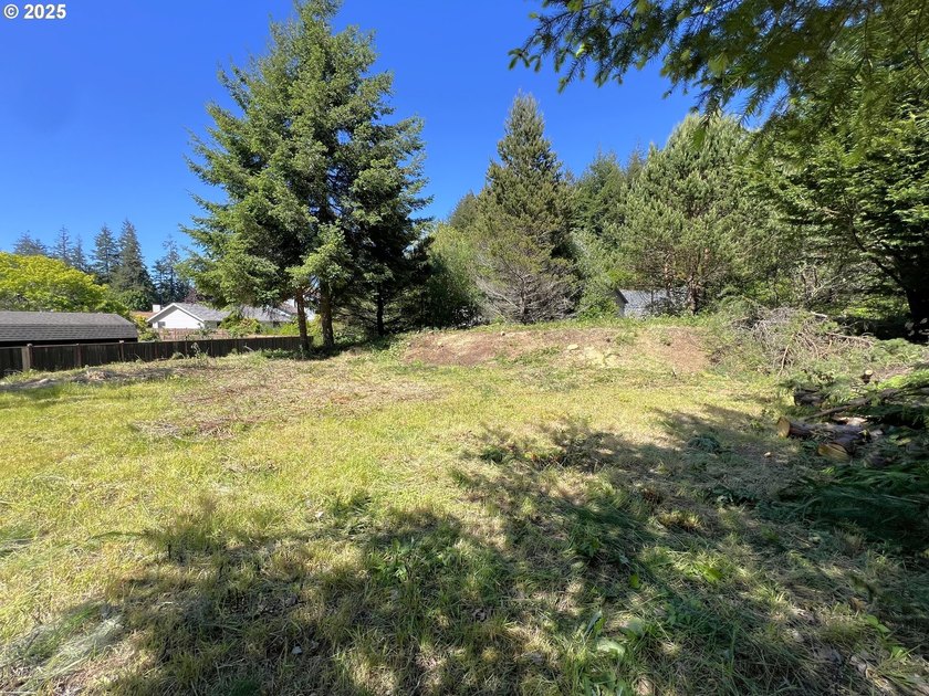 32 acres vacant lot in one of the most exclusive neighborhoods - photo 2