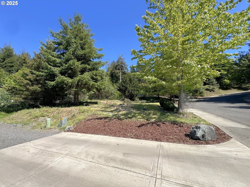 32 acres vacant lot in one of the most exclusive neighborhoods - photo 5