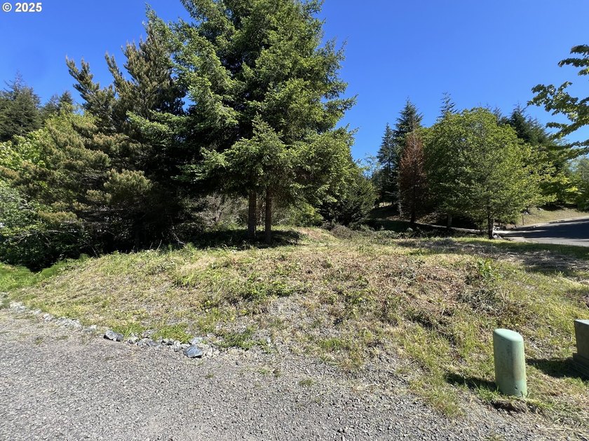 32 acres vacant lot in one of the most exclusive neighborhoods - photo 6