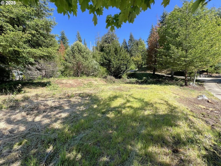 32 acres vacant lot in one of the most exclusive neighborhoods - photo 9
