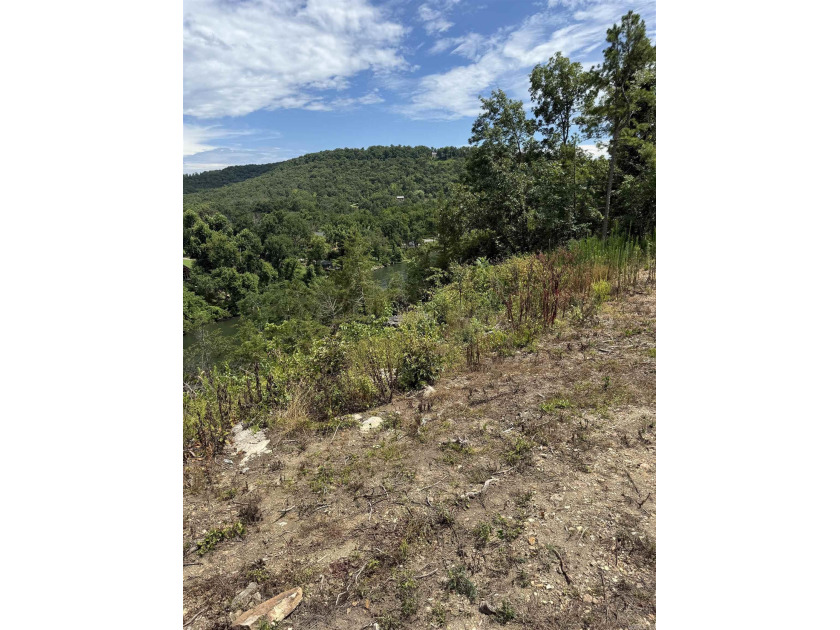 Prime building lot with beautiful mountain and Norfork river - photo 2