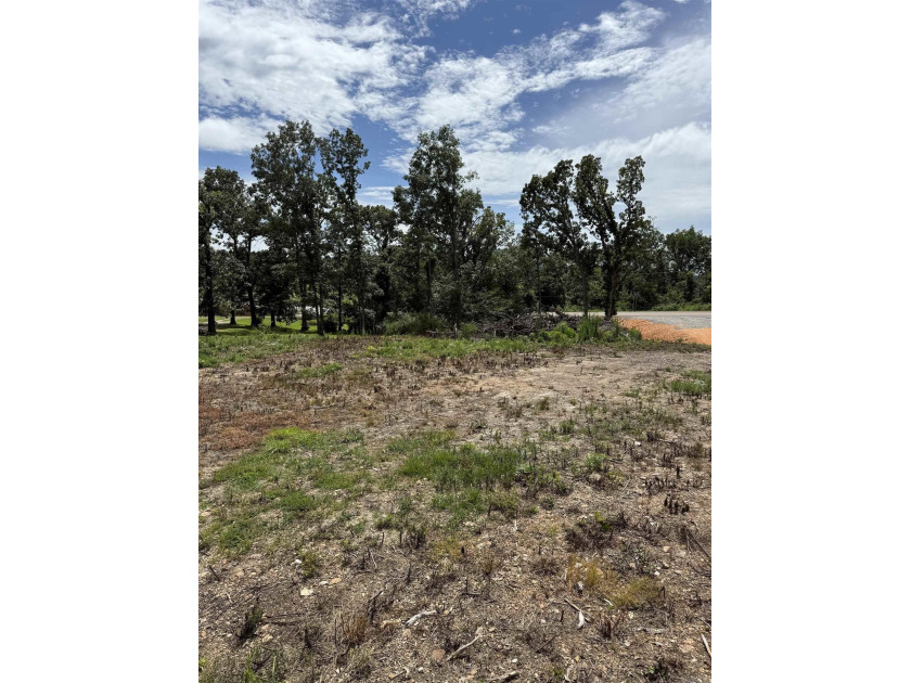 Prime building lot with beautiful mountain and Norfork river - photo 3