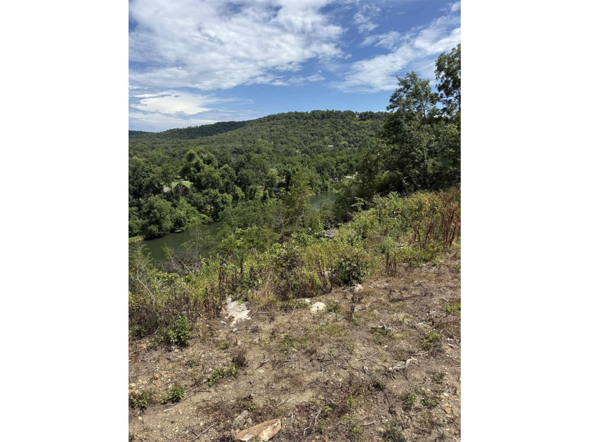 Prime building lot with beautiful mountain and Norfork river - photo 4