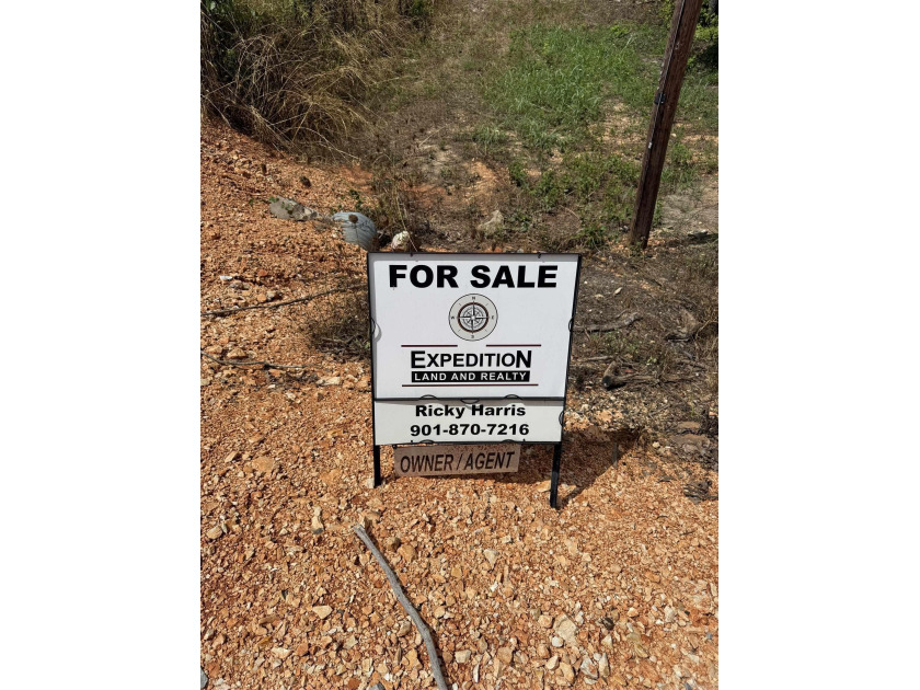 Prime building lot with beautiful mountain and Norfork river - photo 5