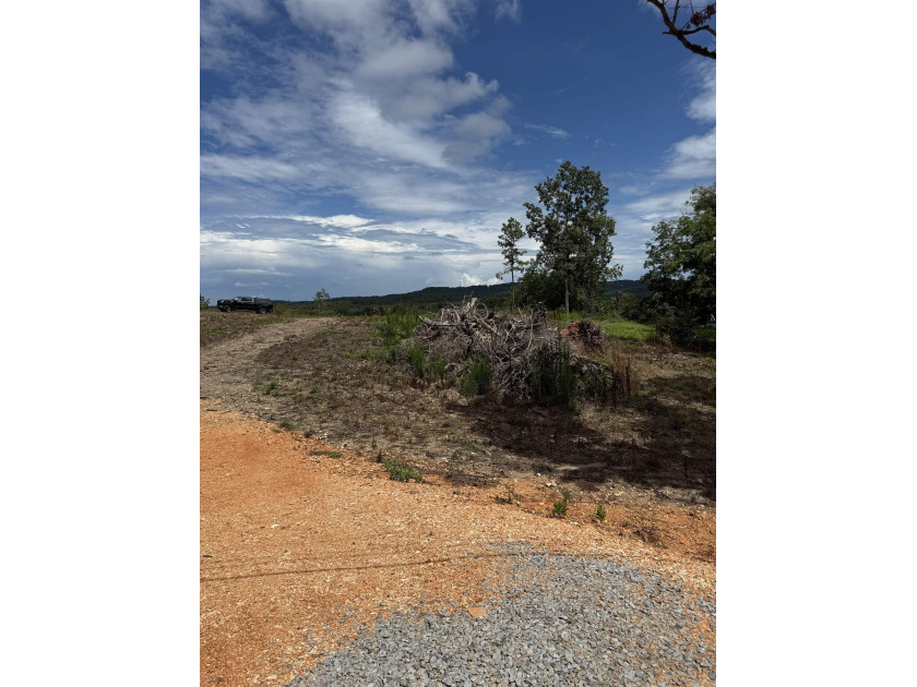 Prime building lot with beautiful mountain and Norfork river - photo 9