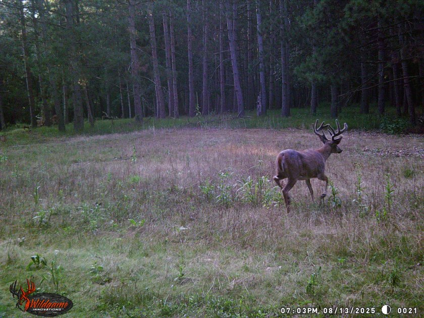 Discover one of Green Lake County's premier recreational - photo 9