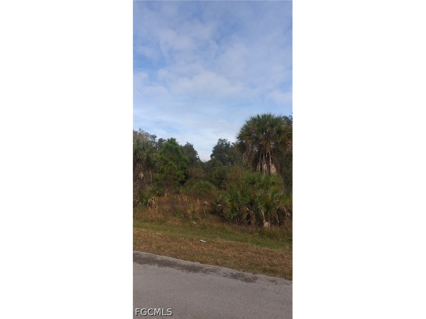Experience the joy of building your dream home on this prime 2 - photo 8