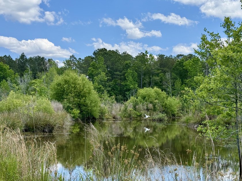 Set on 32.69 scenic acres, this charming log home offers a - photo 32