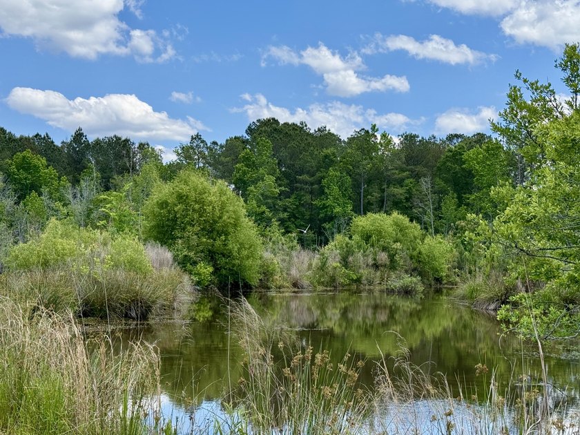 Set on 32.69 scenic acres, this charming log home offers a - photo 34