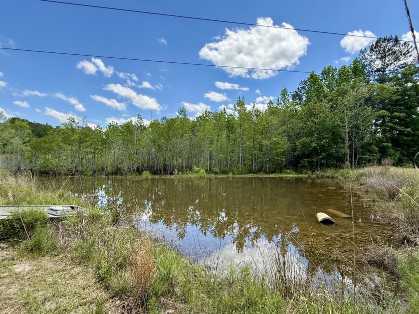 Set on 32.69 scenic acres, this charming log home offers a - photo 35