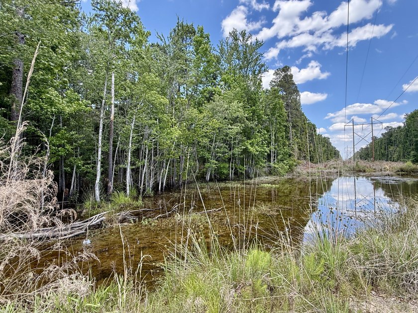 Set on 32.69 scenic acres, this charming log home offers a - photo 36