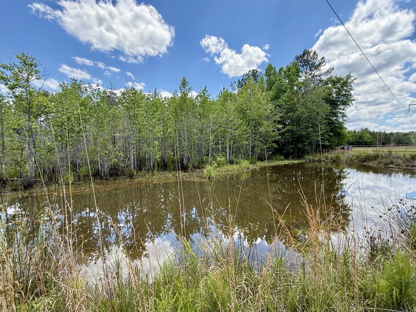 Set on 32.69 scenic acres, this charming log home offers a - photo 37