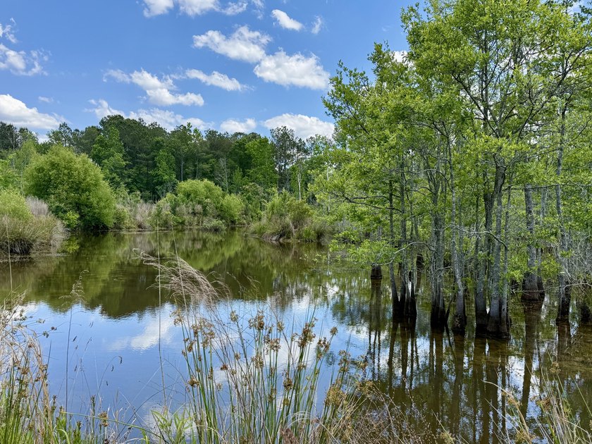 Set on 32.69 scenic acres, this charming log home offers a - photo 39
