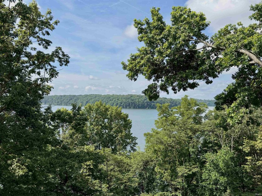 Enjoy beautiful views of Lake Monroe from both the living room - photo 2