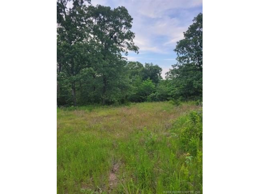 Heavily treed, some open spaces, less than 1 miles to the lake - photo 3