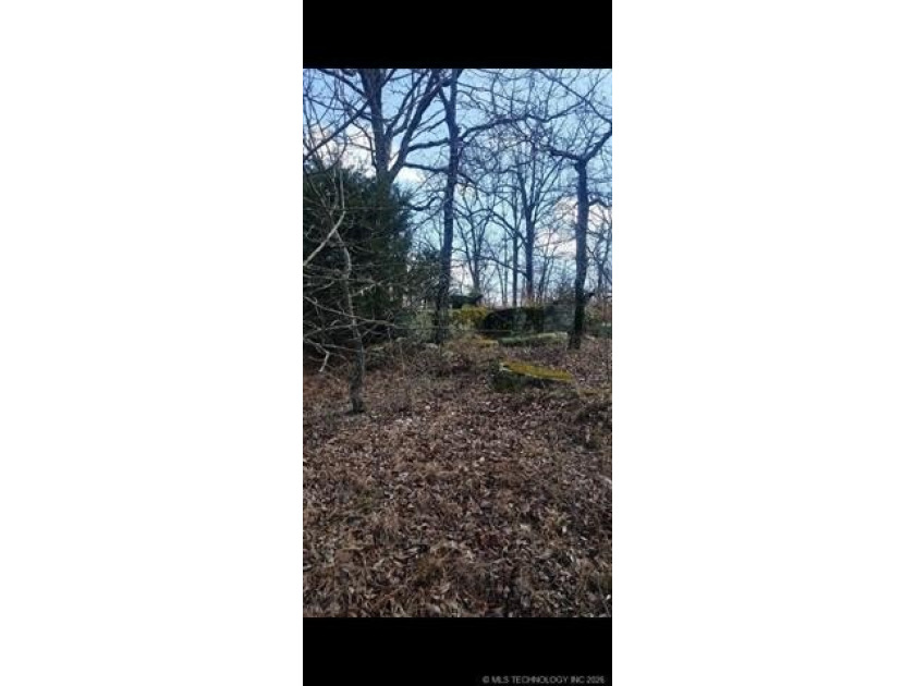 Heavily treed, some open spaces, less than 1 miles to the lake - photo 7