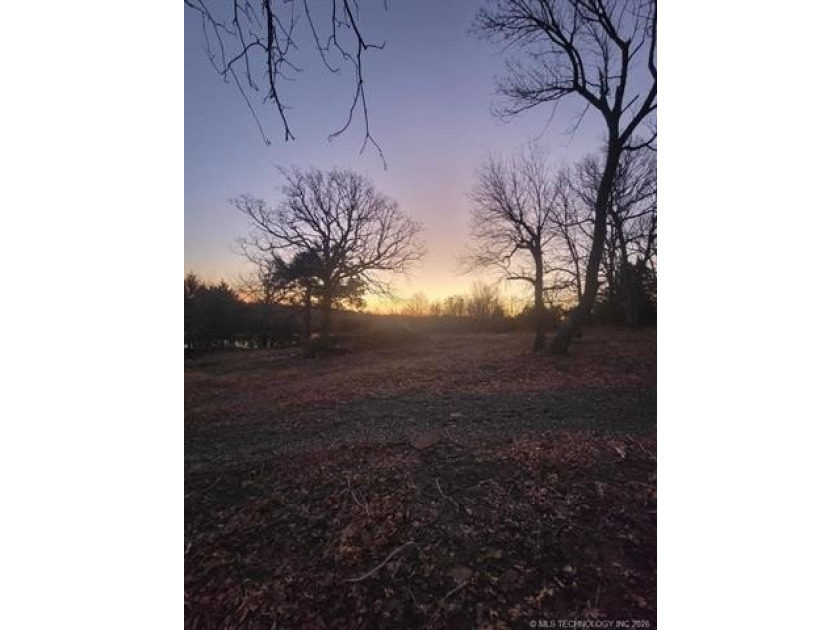 Heavily treed, some open spaces, less than 1 miles to the lake - photo 9