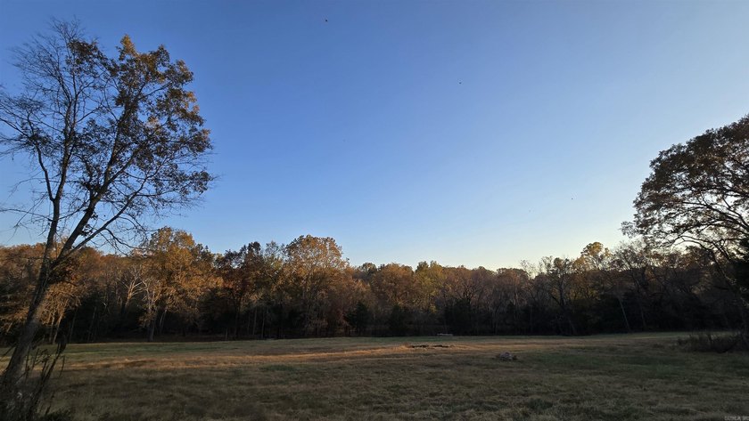 Beautiful new construction home on 8.92 surveyed acres just - photo 45