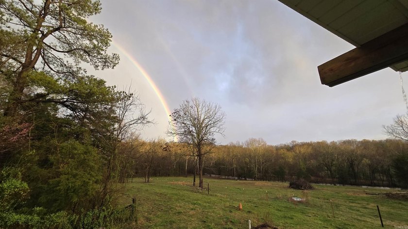 Beautiful new construction home on 8.92 surveyed acres just - photo 46