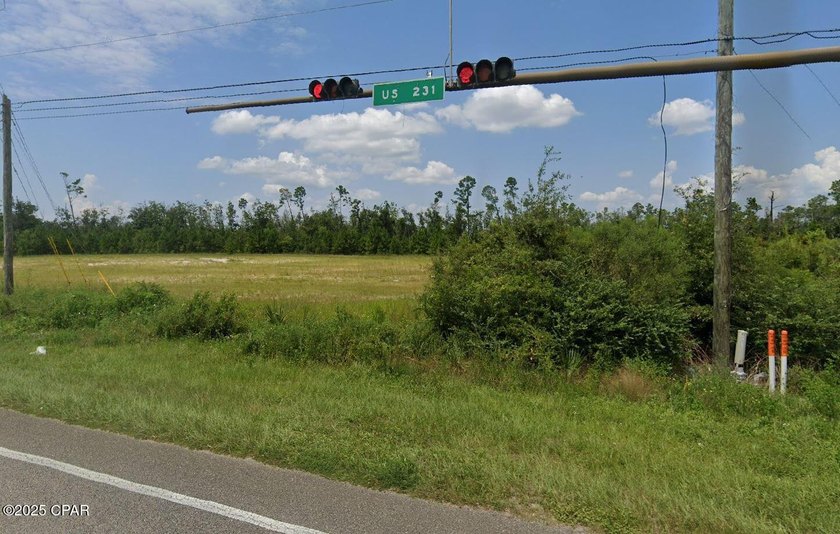 3.25 ACRE SUPER SITE AT HIGHWAY 231 AND STAR AVENUE WITH 194 - photo 2