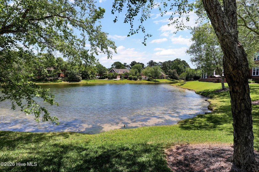 Nestled on a peaceful pond in the gated community of Landfall - photo 48