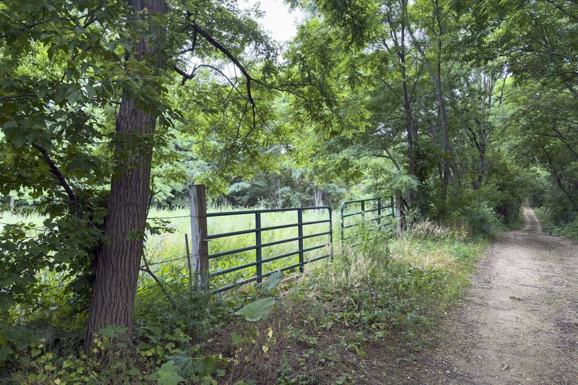 Don't miss your opportunity to purchase this beautiful 26 acres - photo 2