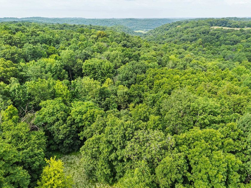 Don't miss your opportunity to purchase this beautiful 26 acres - photo 4