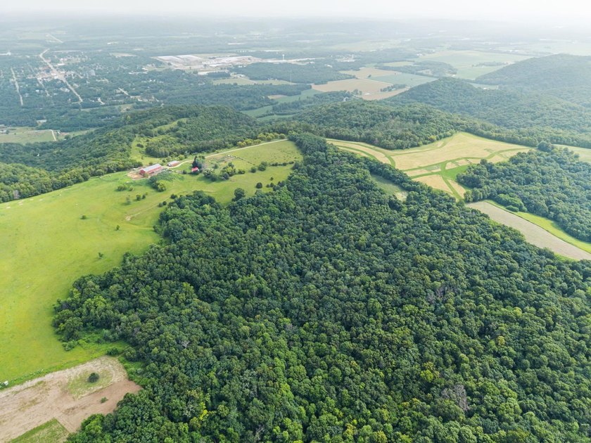 Don't miss your opportunity to purchase this beautiful 26 acres - photo 7