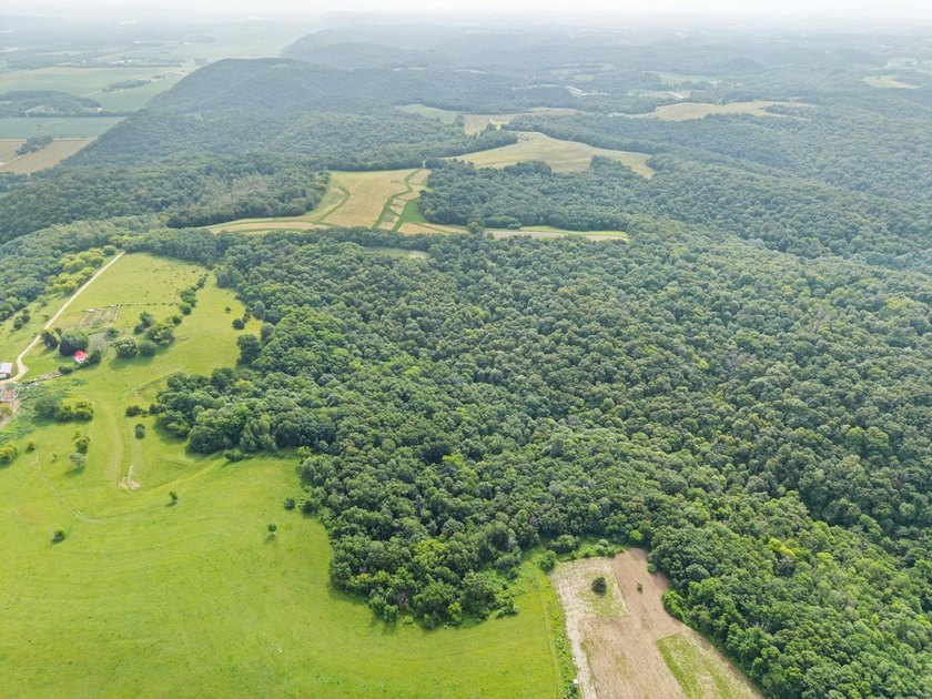 Don't miss your opportunity to purchase this beautiful 26 acres - photo 8