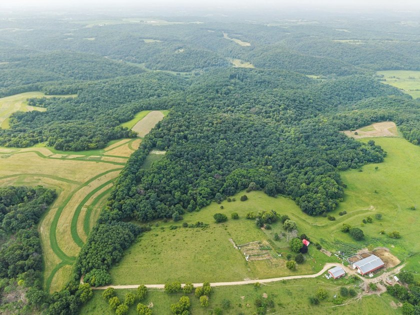 Don't miss your opportunity to purchase this beautiful 26 acres - photo 9