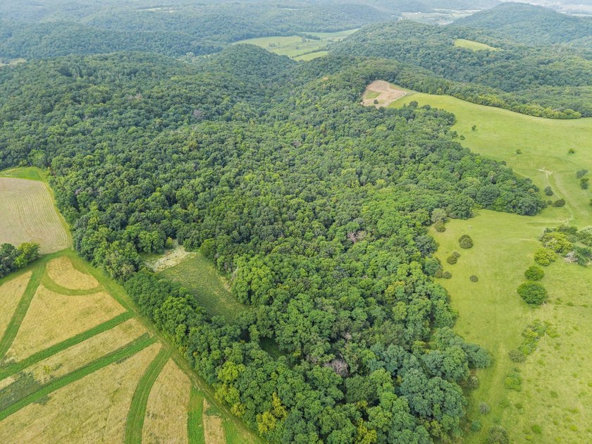 Don't miss your opportunity to purchase this beautiful 26 acres - photo 10