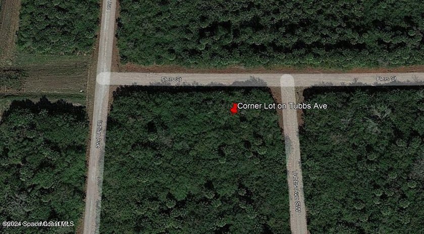 Beautiful Corner Lot in Palm Bay. Convenient to great schools - photo 3