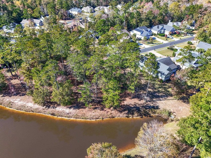 Buildable residential homesite in the gated, golf-cart-friendly - photo 9