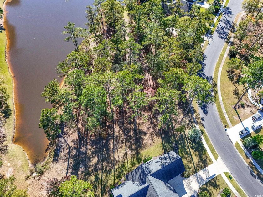 Buildable residential homesite in the gated, golf-cart-friendly - photo 10