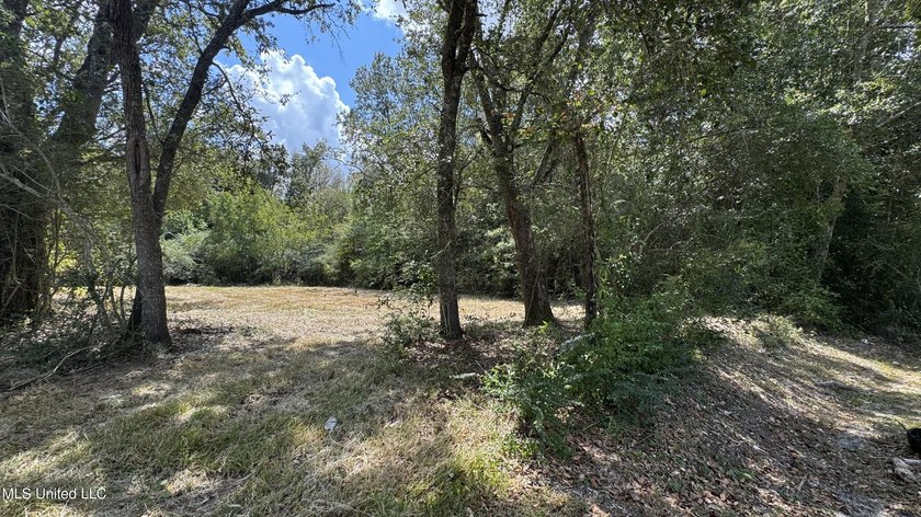 Welcome to your future dream home location! Discover the perfect - photo 2