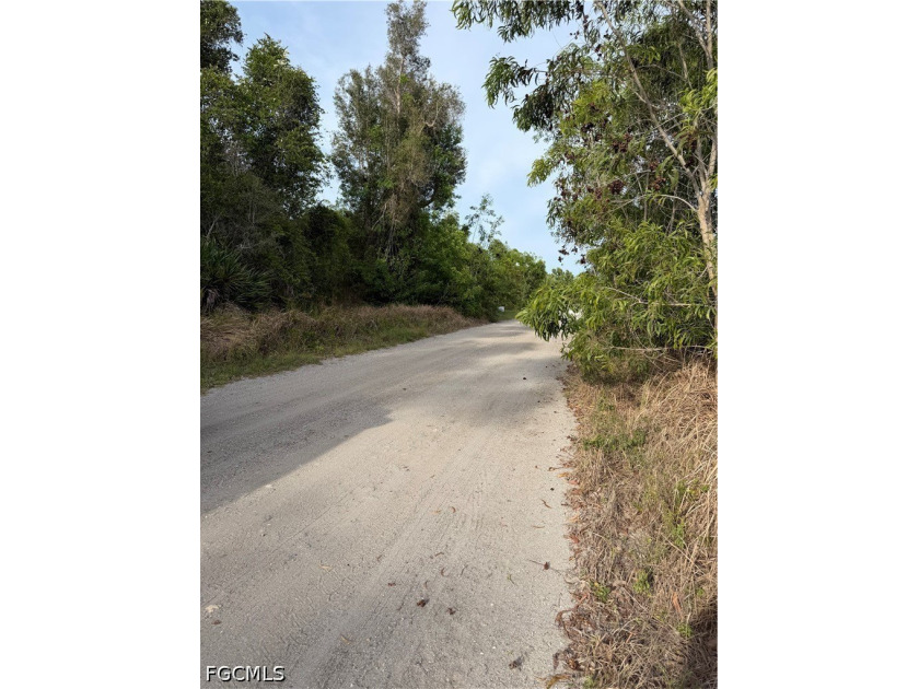 BUILD YOUR ISLAND DREAM HOME ON OVER HALF AN ACRE! Nestled in - photo 4