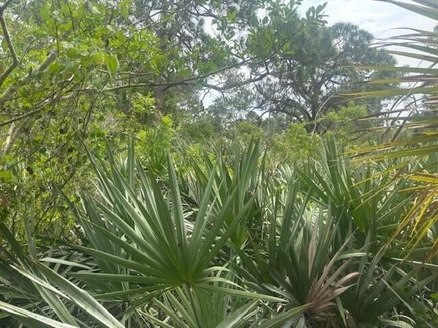Owner Financing available on this 1/2 acre lot in the path of - photo 2