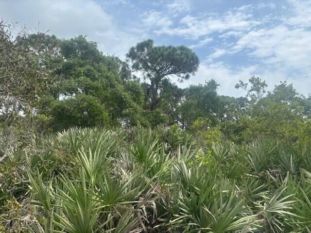 Owner Financing available on this 1/2 acre lot in the path of - photo 3