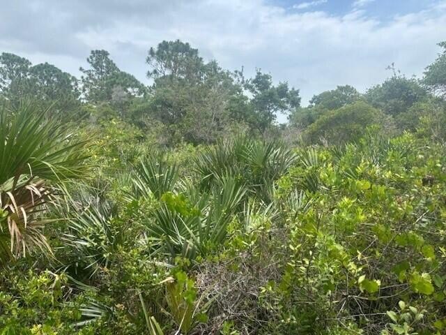 Owner Financing available on this 1/2 acre lot in the path of - photo 4