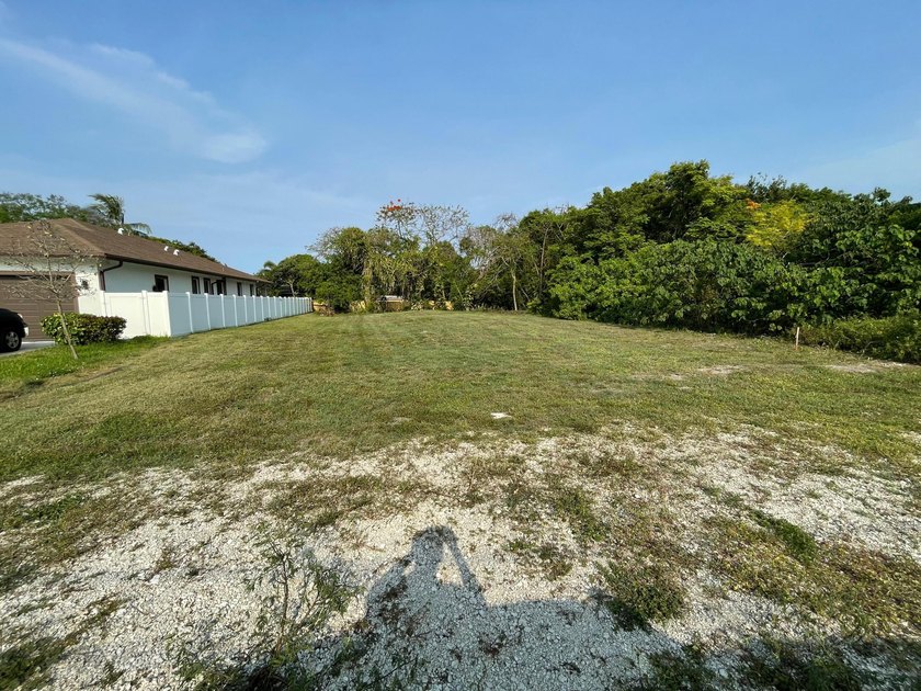 LARGE CITY LOT IN A GREAT LOCATION, NEW HOUSE NEXT TO THE LOT - photo 8