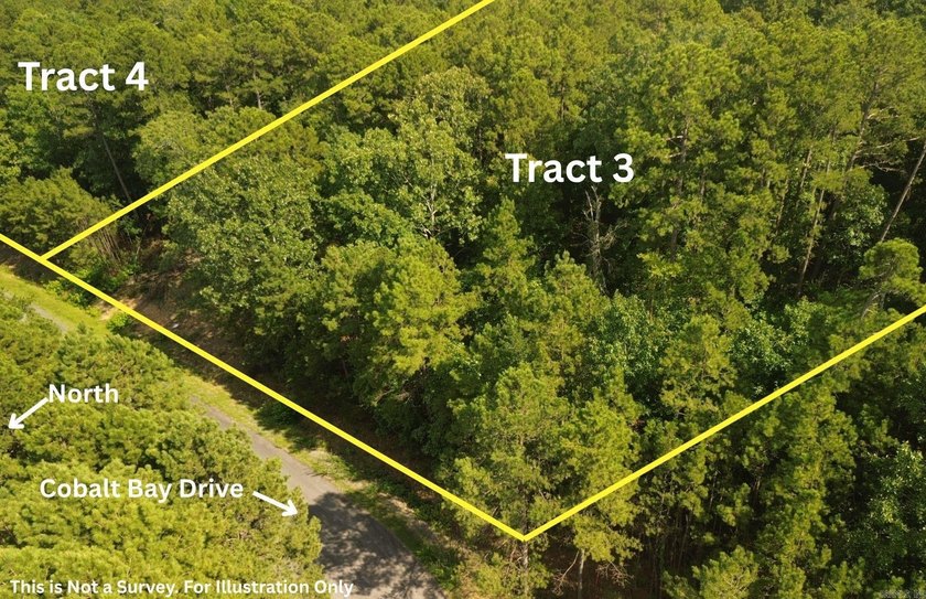 6 Acre Lot Near Greers Ferry Lake with deeded access to Lake - photo 3