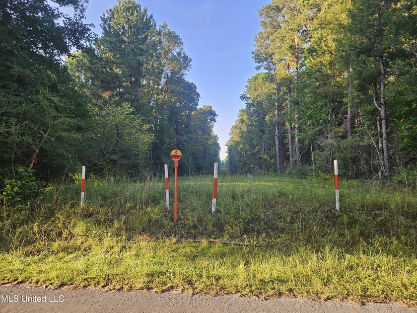 92 Acres of Timber, Wildlife, and Homesite Potential - Pearl - photo 23