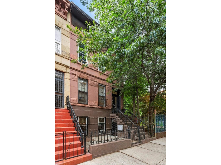 Endless Possibilities in the Heart of Bed-Stuy Opportunity and - photo 7