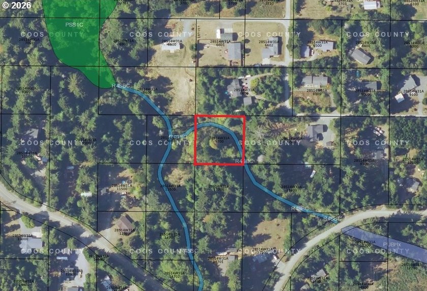 FORESTED .62 ACRE. 162 feet by 162 feet. Road not in. Developed - photo 2