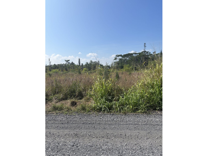 Great opportunity to purchase a previously cleared 1.00 Acre lot - photo 8