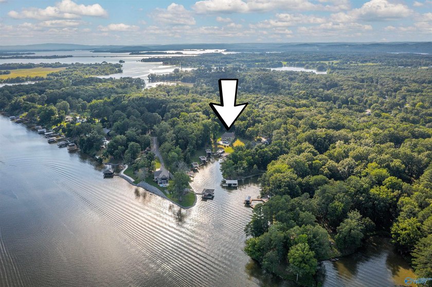 Welcome to exceptional waterfront living! This beautiful home - photo 46