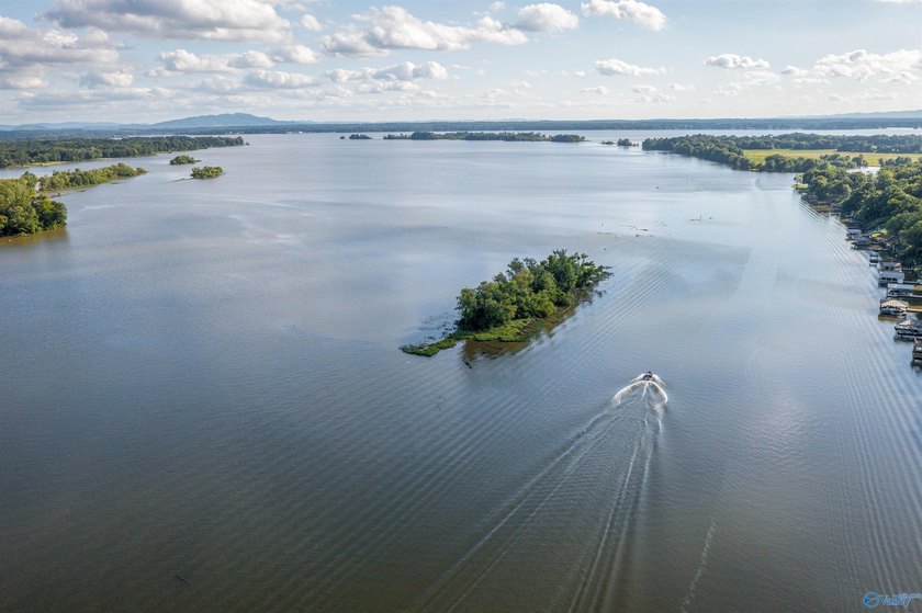Welcome to exceptional waterfront living! This beautiful home - photo 47