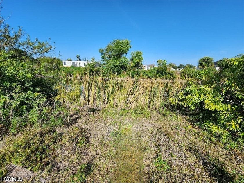 Nice Freshwater lot with great views * CITY WATER, SEWER, AND - photo 3