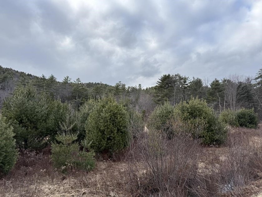 How about 10.86 acres in current use with the Eastman Brook - photo 11