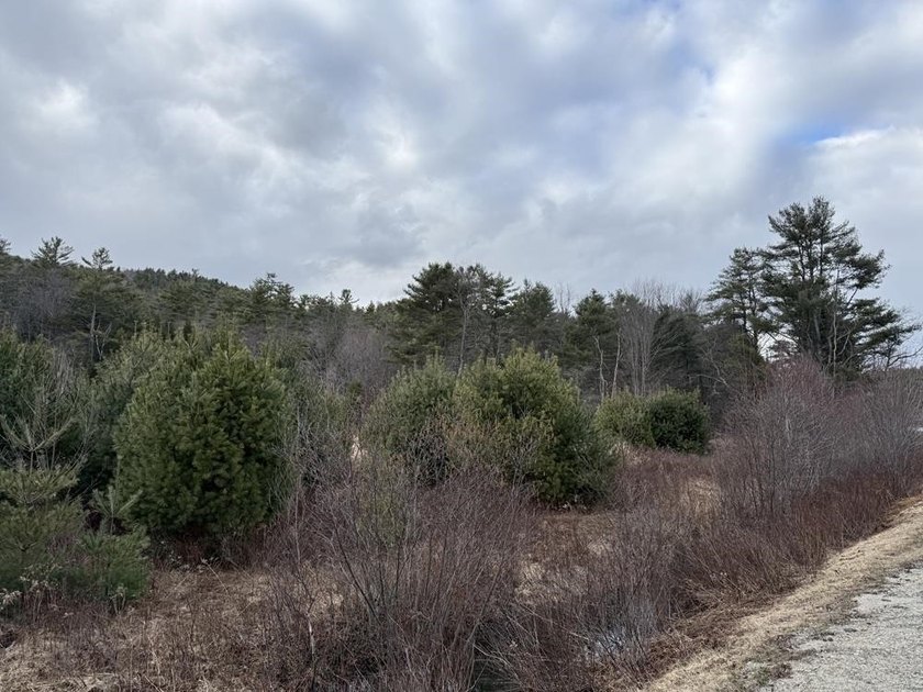 How about 10.86 acres in current use with the Eastman Brook - photo 12